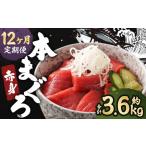 本マグロ 赤身 300g