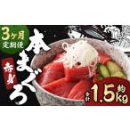 本マグロ 赤身 500g