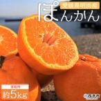 安樹屋 明浜産 ポンカン 5kg