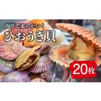 ひおうぎ貝 20枚