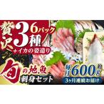 対馬 イカ 姿造り と 刺身のセット 新鮮 いか