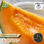 メロン 富良野産 赤肉メロン 榎本農園 フルーツ