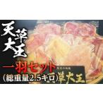 天草大王 一羽セット 総重量2.5キロ FKP9-343