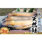 球磨川の天然鮎 3尾
