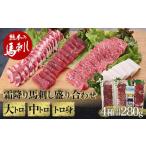 ふるさと納税 霜降り馬刺し大トロ・中トロ・トロ身の盛り合わせ FKP9-494 熊本県球磨村