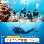 ライセンス不要のダイビング体験ペアチケット@