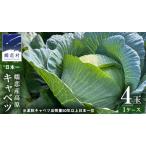 fu.... налог [7 месяц средний . отправка начало ].. капуста .. производство высота . капуста 4 шар 1 кейс L размер предшествующий предварительный заказ 2026 год отправка [AS002tu] Gunma префектура ...