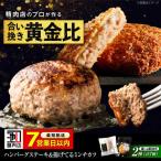 ハンバーグとミンチカツ セット ハンバーグ