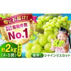 ふるさと納税 沼隈ぶどう シャインマスカット 約2kg [BAEV004]シャインマスカット 広島県福山市