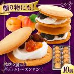 天心山 どら焼き 10個入り