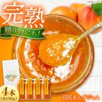 田尻完熟あんずジャム 4本セット ジャム