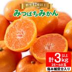 みつばちみかん 計3kg以上