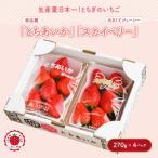 いちご とちあいか スカイベリーセット 270g×4パック