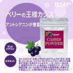 BMP カシスパウダー1kg 100g×10袋