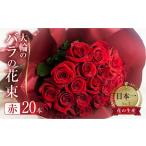 ふるさと納税 バラ 花束 大輪 赤 20本 (40cm) ブーケ 薔薇 ローズ 生花 プレゼント 花 ギフト  植物 フラワー 田原市 切り花 切花 12000円 愛知県田原市