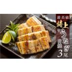 ふるさと納税 厳選 高級 青うなぎ 白焼 3本セット うなぎ ウナギ 鰻 蒲焼き 土用丑の日 グルメ ギフト プレゼント 男性 女性 お取り寄せ 田原市 .. 愛知県田原市