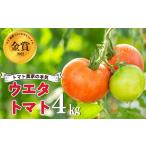 濃厚 ウエタトマトのトマト 4kg