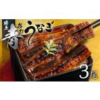 ふるさと納税 最高級 特上 幻の青うなぎ 3尾 うなぎ 愛知県田原市