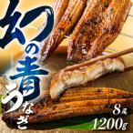 厳選 高級 青うなぎ 8尾