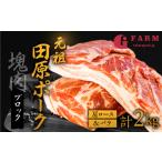 豚肉 ブロック 肩ロース バラ 食べ比べ 1kg×2
