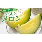 ふるさと納税 野菜ソムリエ推薦 渥美半島伊良湖潮風育ち マスクメロン 2玉 2L〜3L サイズ(3〜4キロ)カラーギフト箱入り お取り寄せ 渥美半島 .. 愛知県田原市