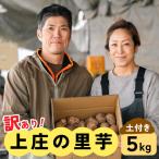 訳あり 上庄の里芋 5kg