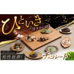 チョコレート セット ドライフルーツ使用