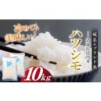 米 ハツシモ10kg