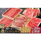 飛騨牛 厳選セレクト定期便 牛 牛肉 肉 だるまミート