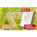 定期便 無洗米 コシヒカリ 5kg