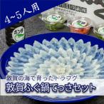 フグ 敦賀ふぐ鍋てっさセット 4~5人用