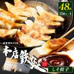 本店鉄なべ 冷凍しそぎょうざ48個入り