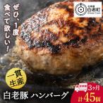 白老豚 ハンバーグ 120g×15個