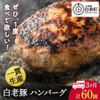 白老豚 ハンバーグ 120g×20個