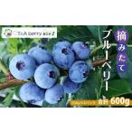 fu.... налог [.. длина свежий ] один шарик один шарик ....... брать .. голубика . сырой. .. доставка 600g(150g×4 упаковка ) префектура Аичи длина . рука город 