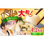 らっきょ 艶づけ 甘酢漬け 1.2kg