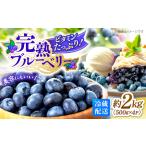 fu.... налог [2026 год 6 месяц средний ... отправка ].. голубика итого 2kg [CBN009] голубика свежий прямая поставка от производителя Nagasaki префектура запад море город 