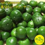 シークワーサー 約2kg