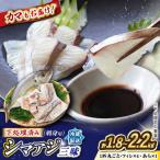 土日お届け シマアジ 堪能6点セットCBW012