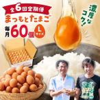 まつもとたまご Lサイズ 赤玉 60個