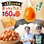 まつもとたまご Lサイズ 赤玉 60個