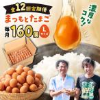 まつもとたまご Lサイズ 赤玉 160個