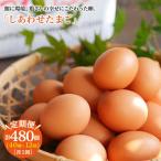 平飼い しあわせ たまご 40個