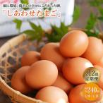平飼い しあわせ たまご 40個
