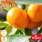 訳あり 西海1号 温州みかん 5kg