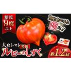 fu.... налог 2026 год .. минут помидор рубин. ... примерно 1.2kg CCK016 помидор овощи свежий высота сахар раз .. подарок Nagasaki префектура запад море город 