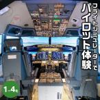 フライトシミュレーターでパイロット体験
