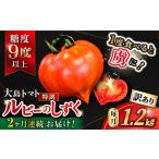ショッピングふるさと納税 訳あり 不揃い ふるさと納税 2026年3月発送開始 2回定期便 訳あり トマト ルビーのしずく 約1.2kg CCK031 トマト 規格外 不揃い 野菜 新鮮 高糖度 贈答 ギフト 長崎県西海市