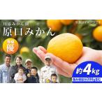 原口みかん 優品 4kg