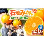 石地みかん 4kg